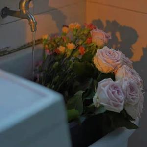 免费国产成人高清在线视频
